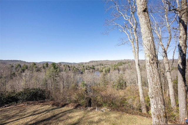 view of landscape with a wooded view