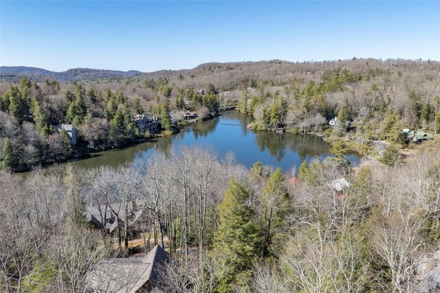 drone / aerial view with a wooded view and a water view