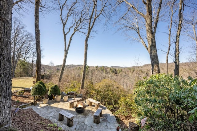 view of yard with a patio area, a fire pit, and a view of trees