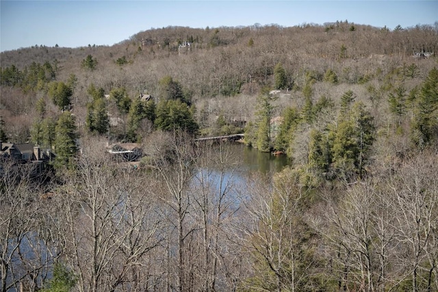 view of local wilderness featuring a forest view and a water view