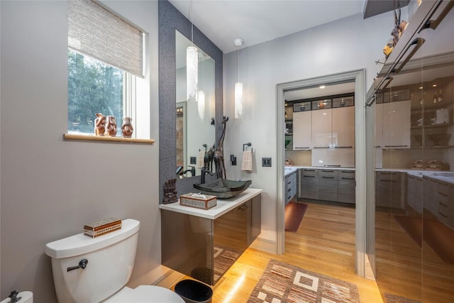 bathroom featuring vanity, toilet, and wood finished floors