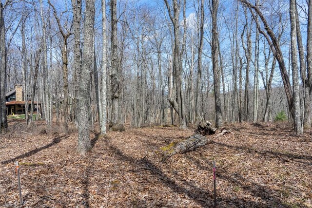 63 New Settlers Way, Glenville, NC 28736 - photo 7