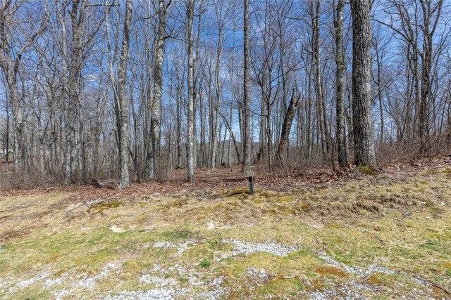 63 New Settlers Way, Glenville, NC 28736 - photo 2