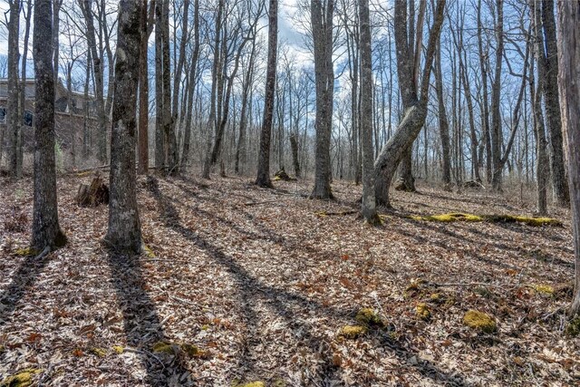 63 New Settlers Way, Glenville, NC 28736 - photo 8