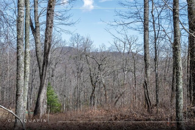 63 New Settlers Way, Glenville, NC 28736 - photo 1