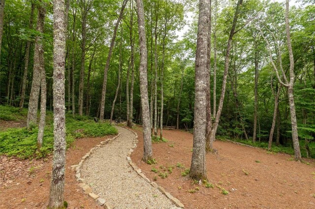 1582 New Settlers Way, Glenville, NC 28736 - photo 80