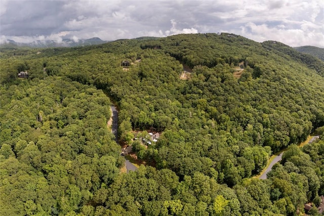 1582 New Settlers Way, Glenville, NC 28736 - photo 87