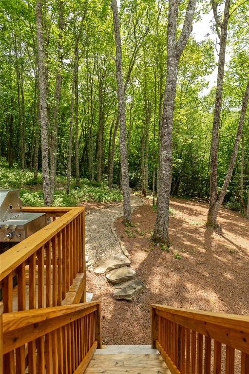 1582 New Settlers Way, Glenville, NC 28736 - photo 79