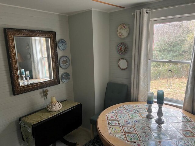 living area with carpet floors and ceiling fan