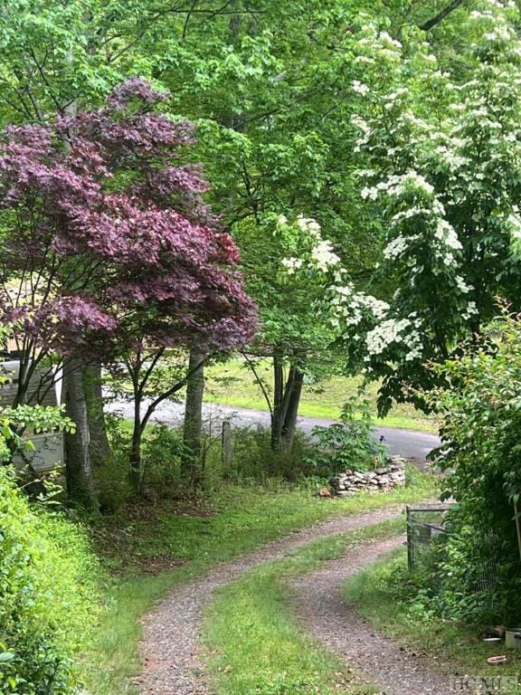 surrounding community featuring a forest view