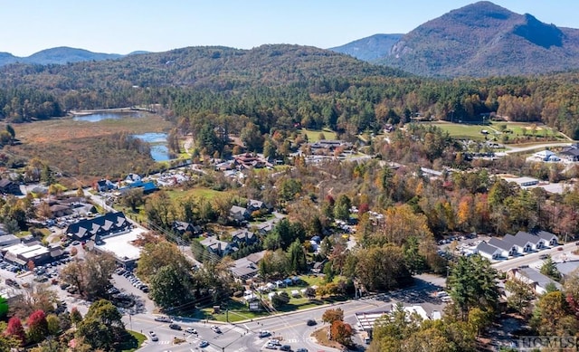 33 Cottage Walk Ln, Cashiers, NC 28717 - photo 26