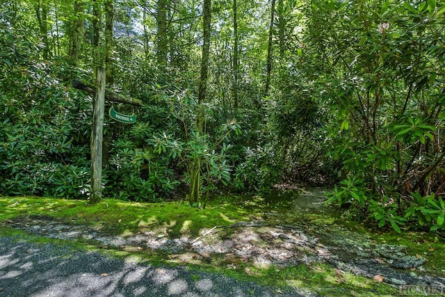 Listing photo 3 for LOT11 Lake Osseroga Dr, Highlands NC 28741