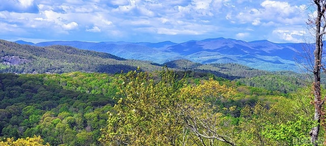 property view of mountains