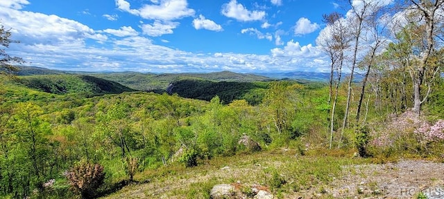 property view of mountains