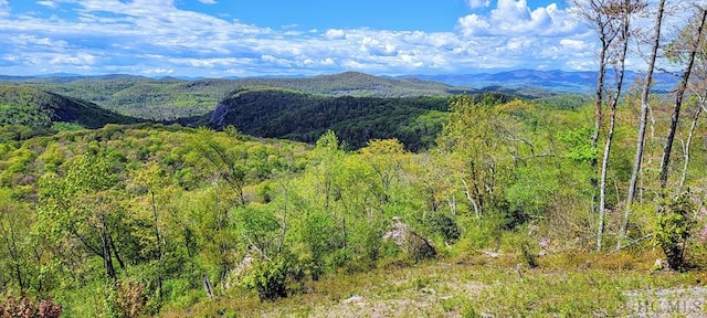 view of mountain feature