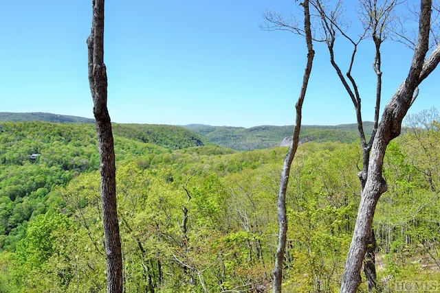 property view of mountains