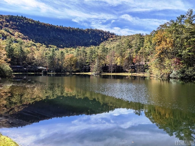 369 Meadow Way Unit 1713, Sapphire, NC 28774 - water view featuring mountains