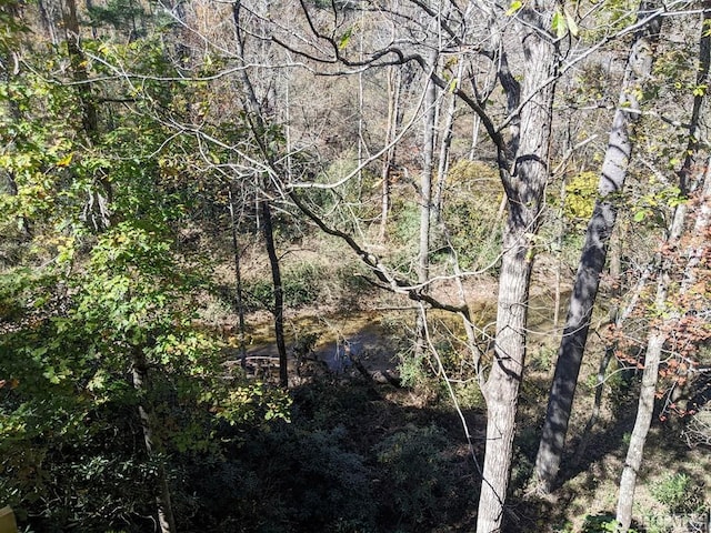 369 Meadow Way Unit 1713, Sapphire, NC 28774 - view of woods