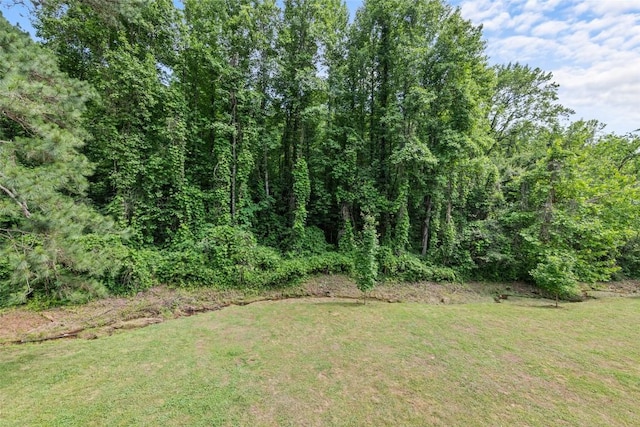 229 Yellow Bird Branch Rd, Sylva, NC 28779 - view of green lawn