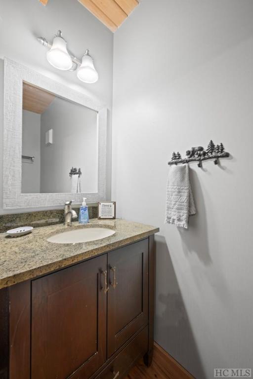 bathroom with hardwood / wood-style flooring and vanity