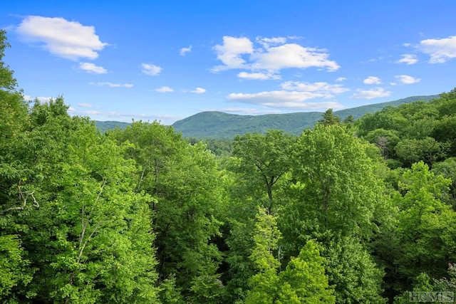 view of mountain feature