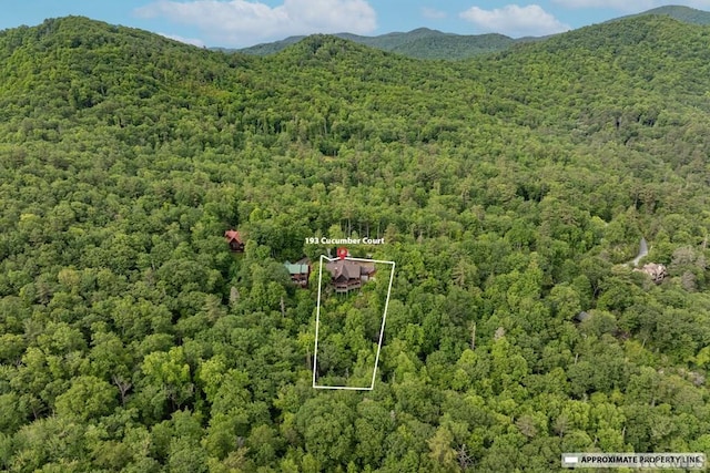 bird's eye view featuring a mountain view