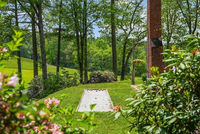 view of yard