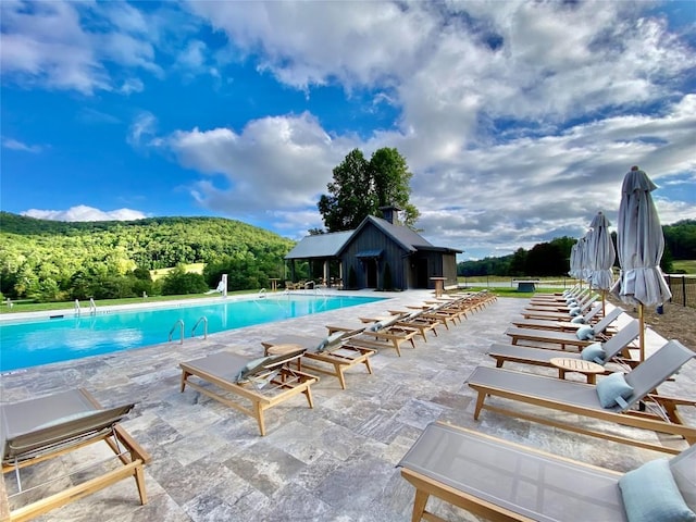 pool with a patio and a forest view