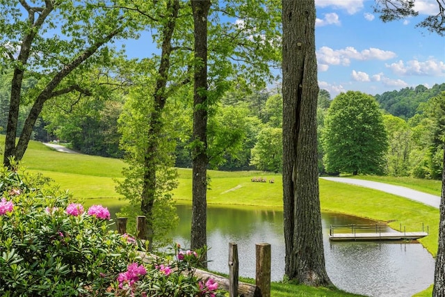 view of community featuring a lawn, a water view, and a dock