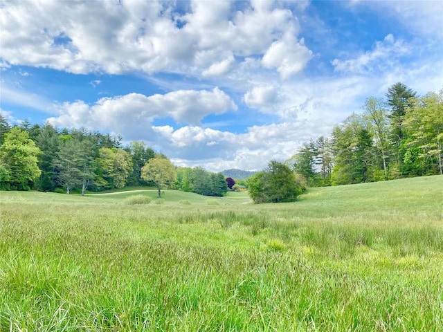 view of nature