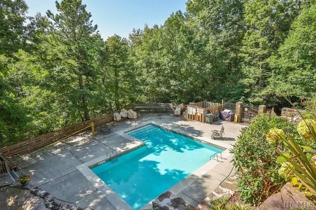 view of pool with a patio area