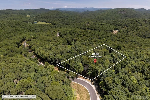 Listing photo 3 for LOTC52 Roaming Rd, Glenville NC 28736