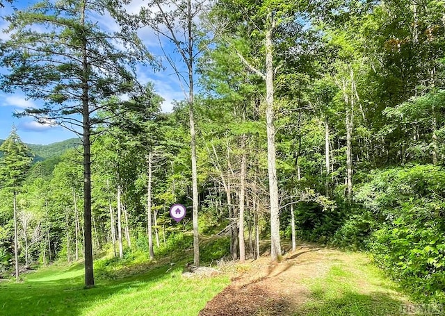 Listing photo 3 for LOT8 Gem Creek Rd, Cullowhee NC 28723