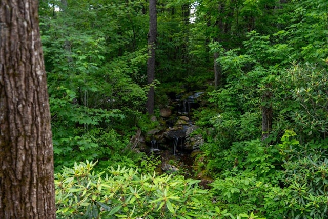 150 Old Hunters Run, Cashiers, NC 28717 - photo 20