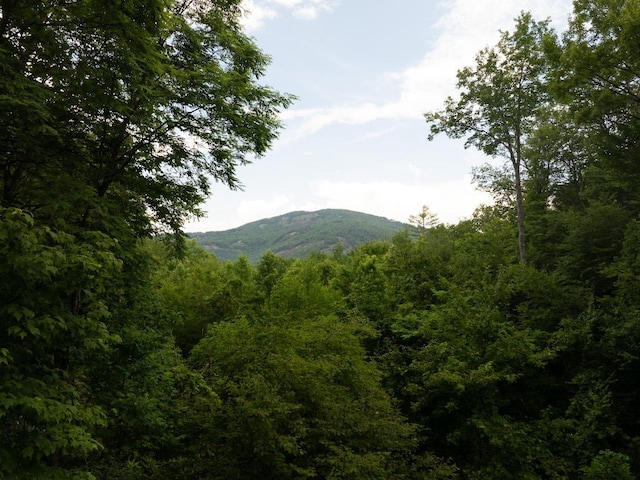 150 Old Hunters Run, Cashiers, NC 28717 - photo 21