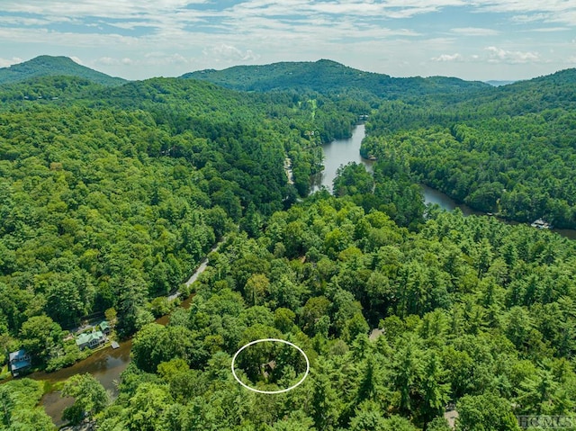 bird's eye view featuring a water and mountain view