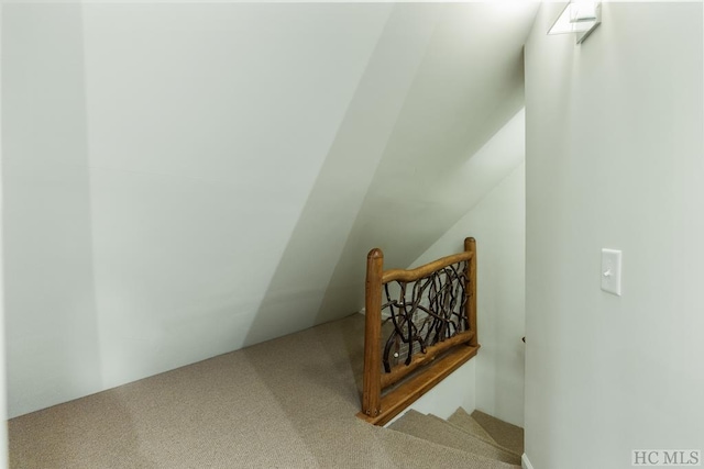 bonus room with carpet and lofted ceiling