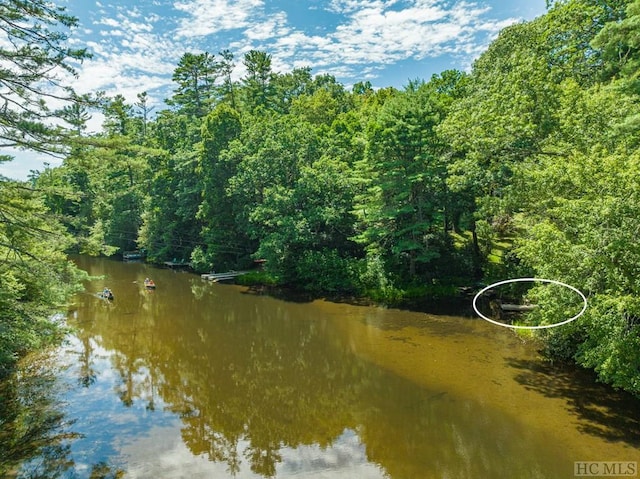 property view of water