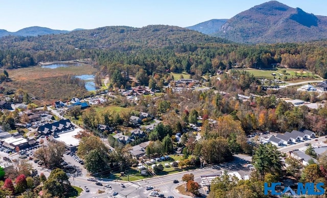 birds eye view of property with a forest view and a water and mountain view