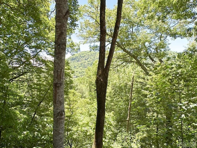 view of landscape