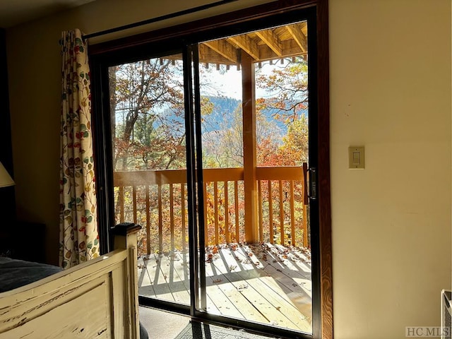 entryway with a healthy amount of sunlight