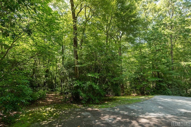 LOT13 Streamside Dr, Cashiers NC, 28717 land for sale