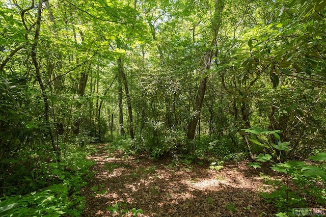 Listing photo 3 for LOT13 Streamside Dr, Cashiers NC 28717