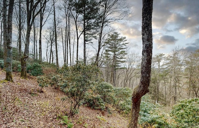 view of landscape