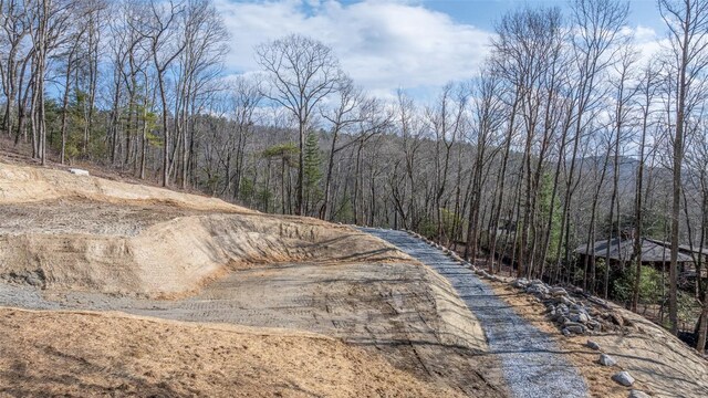 LOT8 Woodland Rdg, Highlands, NC 28741 - photo 15