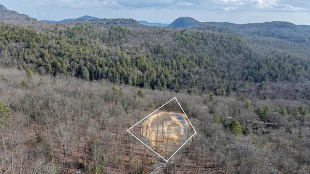 LOT8 Woodland Rdg, Highlands, NC 28741 - photo 12
