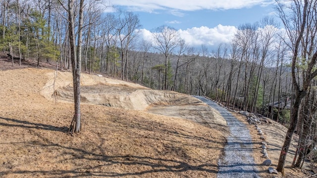 LOT8 Woodland Rdg, Highlands, NC 28741 - photo 3