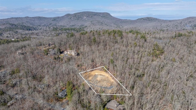 LOT8 Woodland Rdg, Highlands, NC 28741 - photo 10