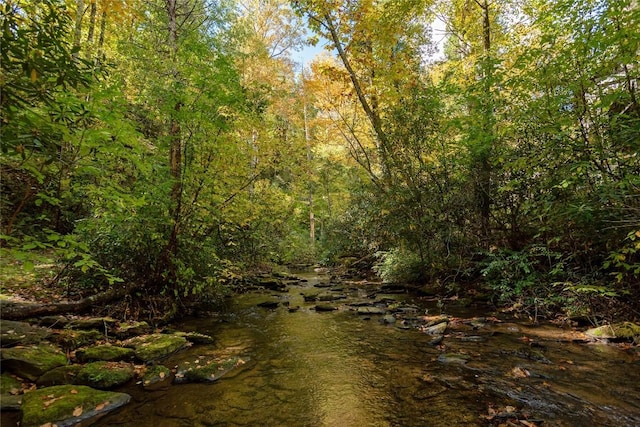 61 Indian Falls Way, Lake Toxaway, NC 28747 - view of woods