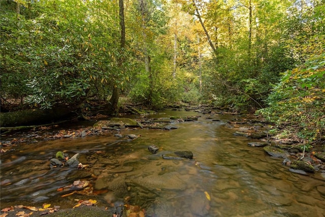 61 Indian Falls Way, Lake Toxaway, NC 28747 - view of wooded area